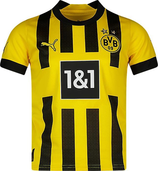 Puma Home Replica