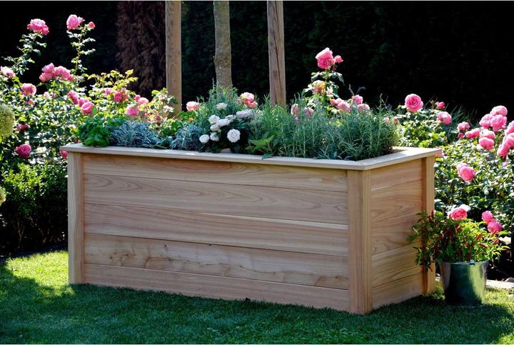 Actual product image Dobar Douglas fir