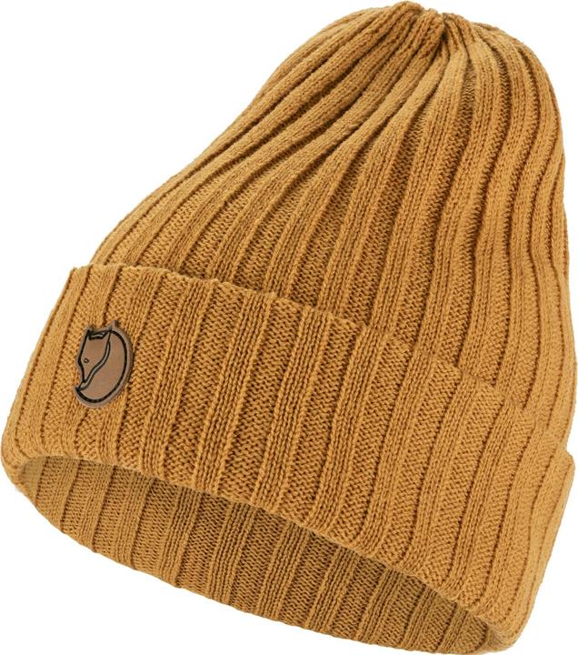 Acorn