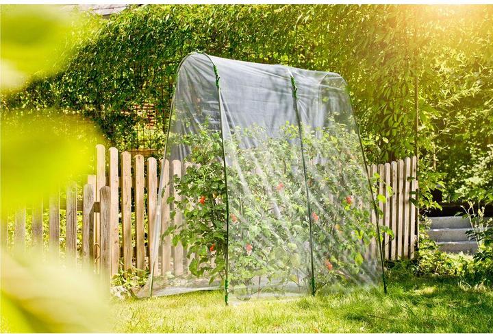 Actual product image Windhager Tomatoes foil tunnel set