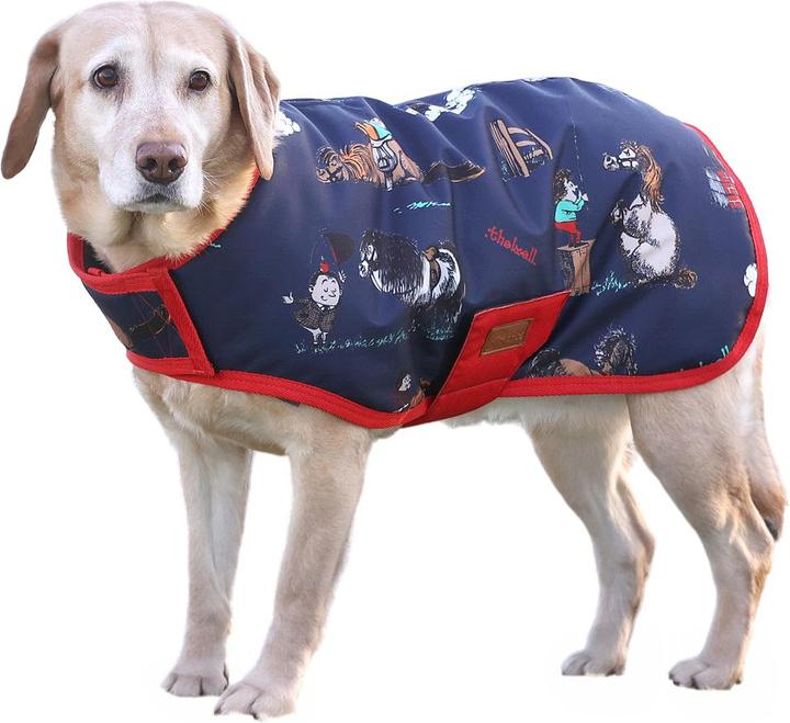 Image du produit Thelwell - Manteau pour chien BENJI & FLO PRACTICE MAKES PERFECT (XS, Manteau pour chien)