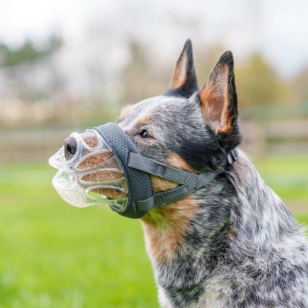Produktbild Baskerville Maulkorb INVISA (6, Hund)