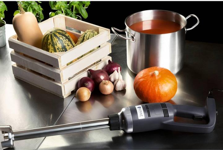 Produktbild Royal Catering Stabmixer Pürierstab Gastro 500W Edelstahl Handmixer Zerkleinerer Schneebesen