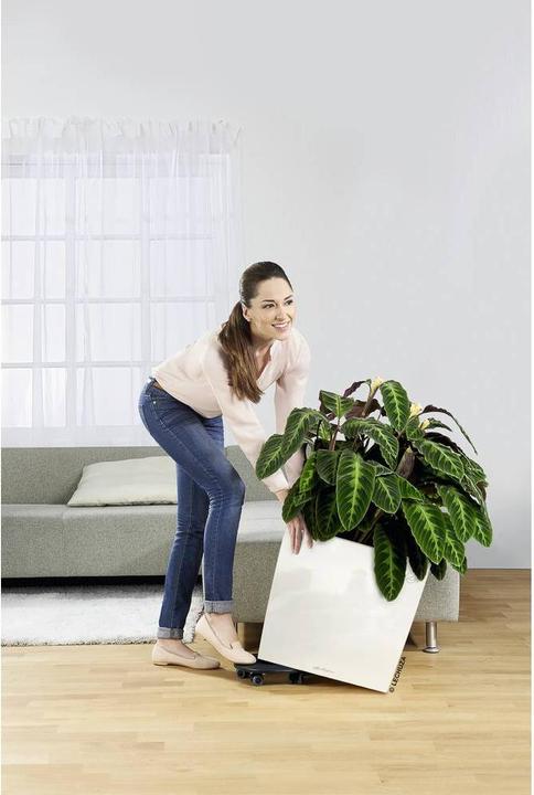 Produktbild Lechuza Rolluntersatz, CLASSICO 50, QUADRO 50, CUBE 40, CURSIVO 40, CANTO 40