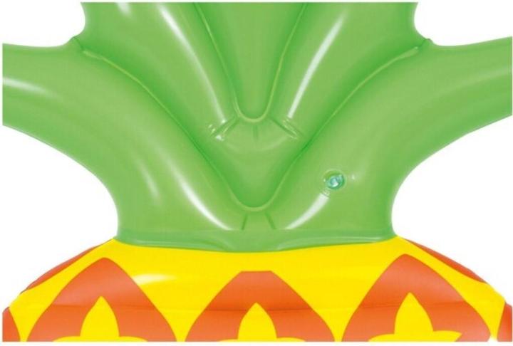Actual product image Jilong Pineapple