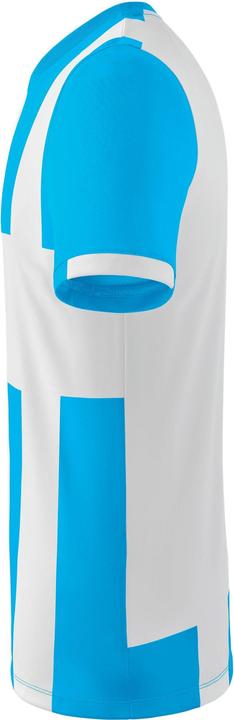 Produktbild Erima Siena 3.0 Trikot (140)