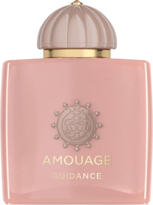 Amouage Guidance (Eau de Parfum, 100 ml)