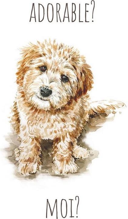 Image du produit Universal Textiles Imprimé Adorable? Moi? Labradoodle (40 x 30 cm)