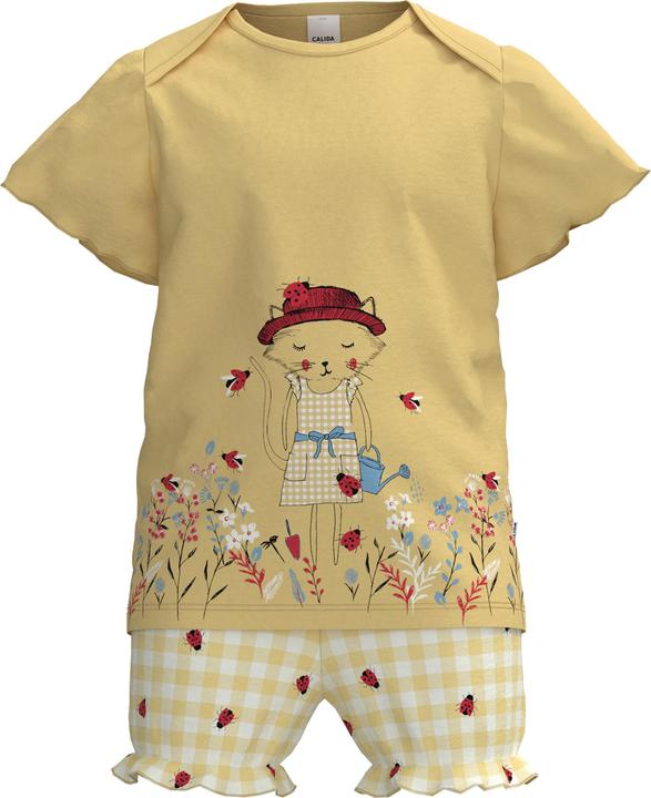 Calida Ladybird (116)