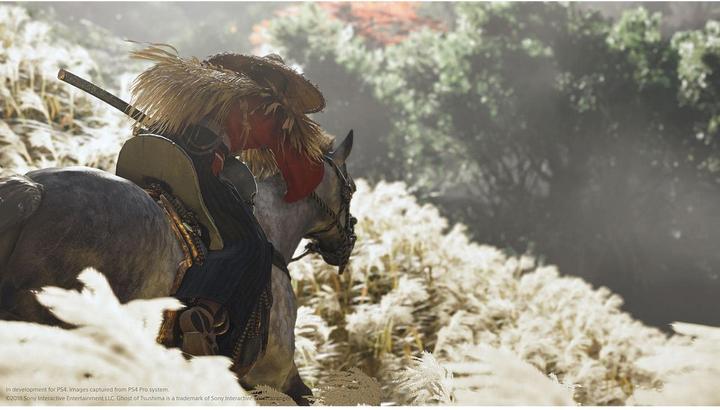 Produktbild Sony Ghost of Tsushima Director’s Cut (PS4, Multilingual)