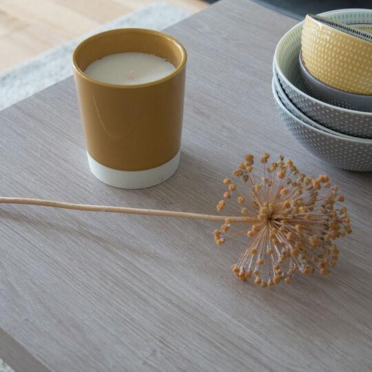 Actual product image D-C-Fix Adhesive film wood look limed oak 90x210 cm (Trgre) (90 x 210 cm)