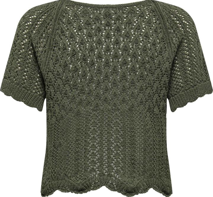 Actual product image Only ONLNOLA Strickpullover Strickpullover (L)