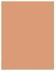 Actual product image Physicians Formula Matte Monoi Butter Bronzer - Matte Sunkissed (Matte Sunkissed, Bronzer, 9 g)