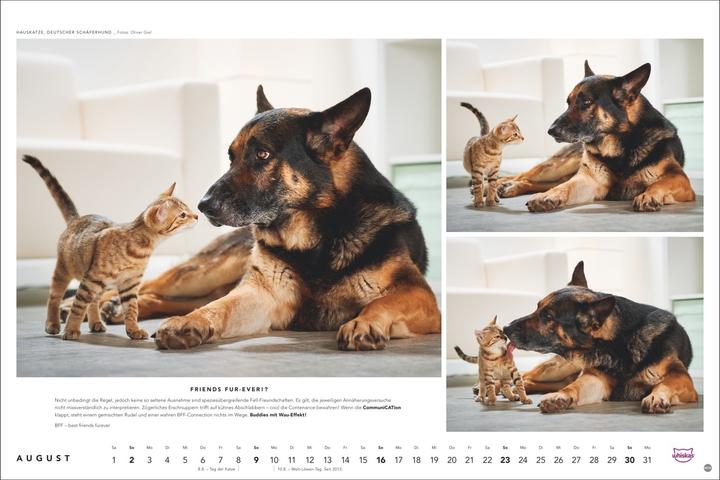 Produktbild Whiskas Katzenkalender 2026 (45 x 30 cm, Harter Einband, Deutsch)