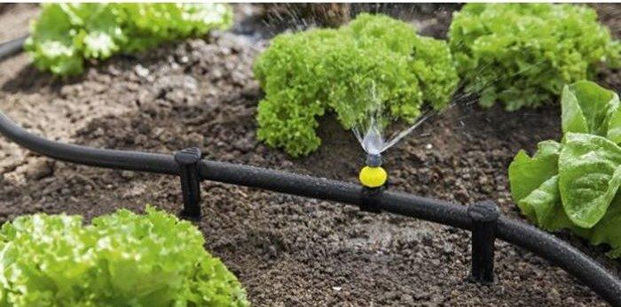 Actual product image Kärcher Earth spike (Water timer)