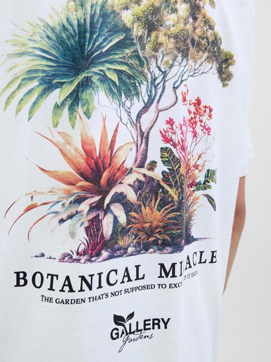 Actual product image Jack & Jones Jorbotaniq Tee Ss Crew Neck Tg Ln (XL)