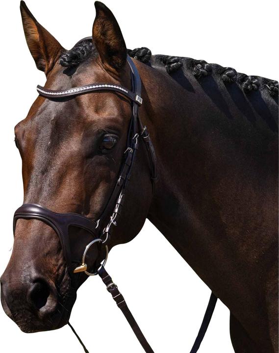 Premier Equine San Paolo