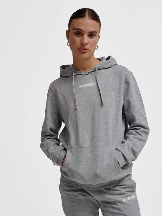Immagine prodotto hummel hmlELEMENTAL HOODIE (L)