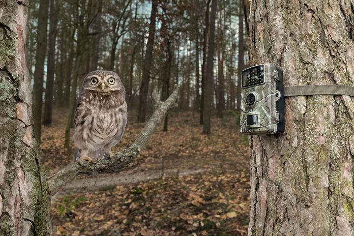 Immagine prodotto Technaxx WILDCAM 1080P TX-256