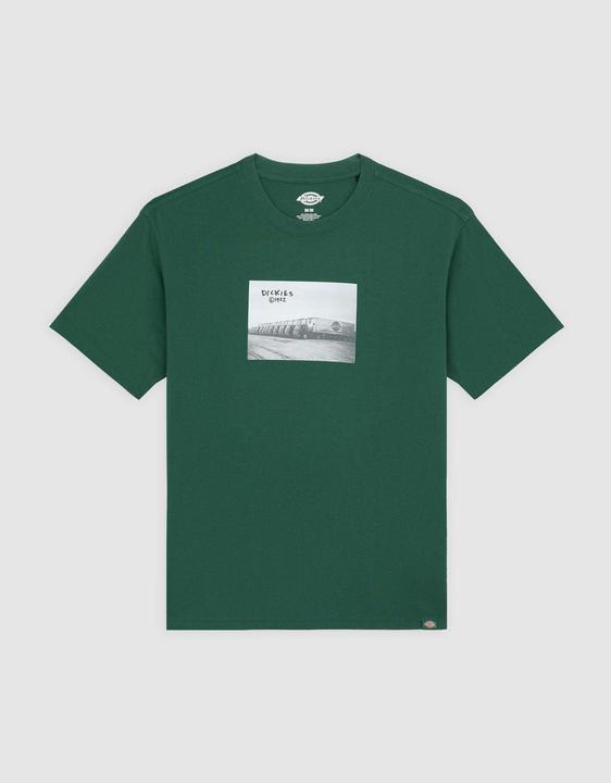 Pine Needle Gre