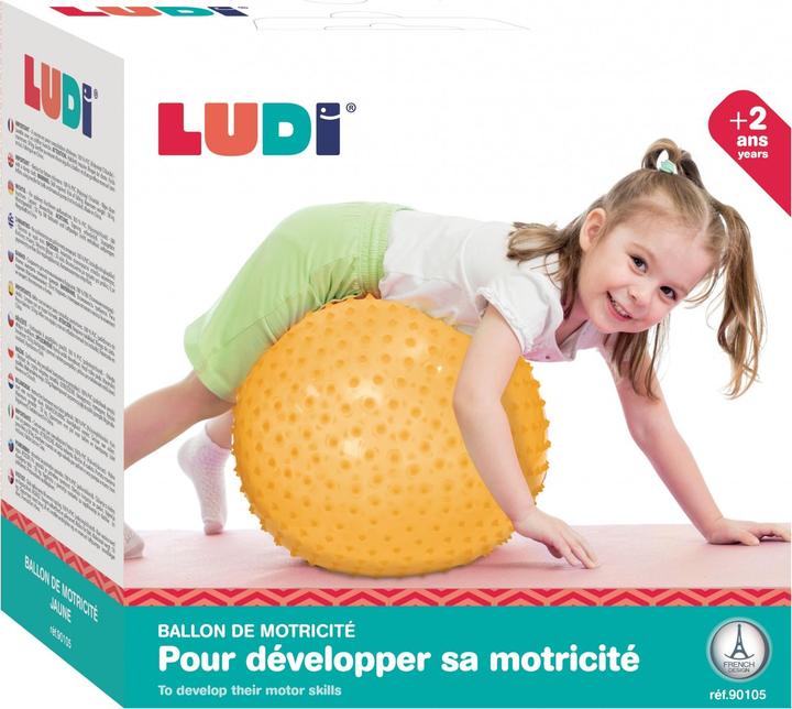 Image du produit LUDI Motor Development Ball Gymnastics and Yoga Ball for Children - Massage Texture with soft pins -