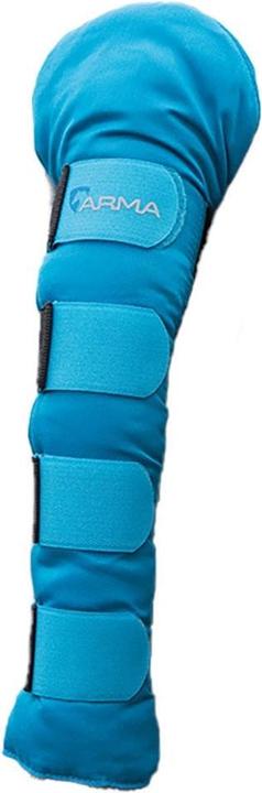 Bleu fluorescent