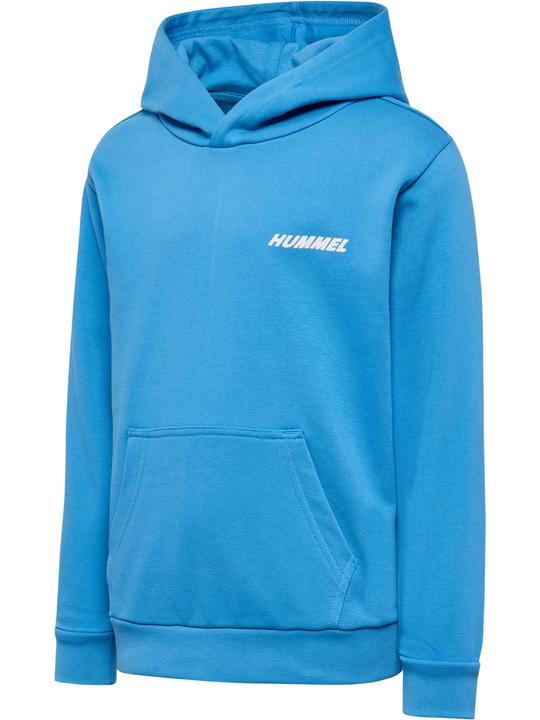 Actual product image hummel hmlCASPER HOODIE (110)