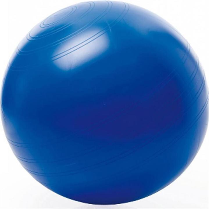 Produktbild Togu Sitzball (65 cm)
