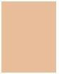 Image du produit Bourjois Poudre Healthy Mix Clean & Vegan Naturally Radiant (04 Beige doré)