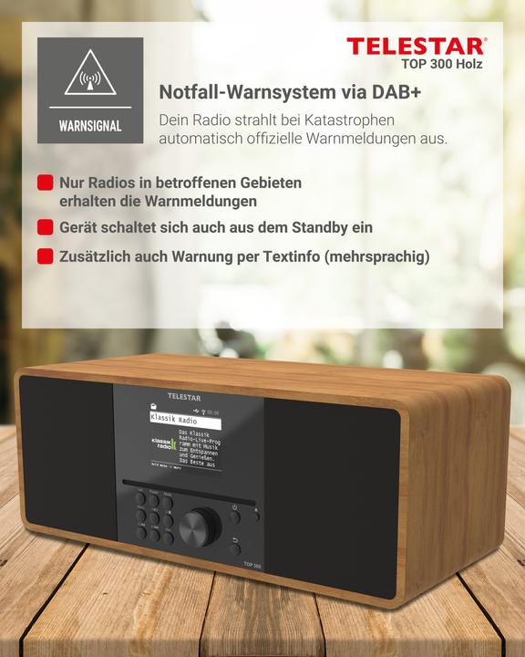 Immagine prodotto Telestar TOP 300 (Web radio, DAB, FM, Bluetooth, WiFi)