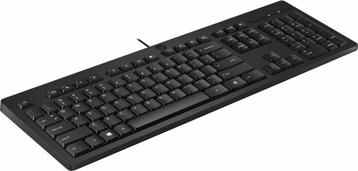 Actual product image HP 125, USB Wired Keyboard, Bulk Qty 12 (DE, Cable)
