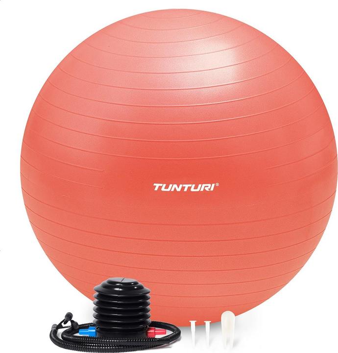 Immagine prodotto Tunturi Gym Ball - Fitnessball reissfest ABS 75 cm Orange (75 cm)
