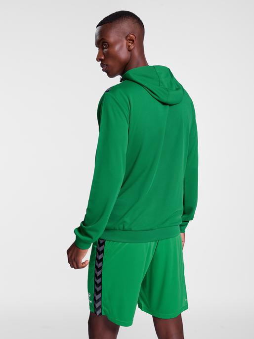 Actual product image hummel Hmlauthentic Pl Hoodie (L)
