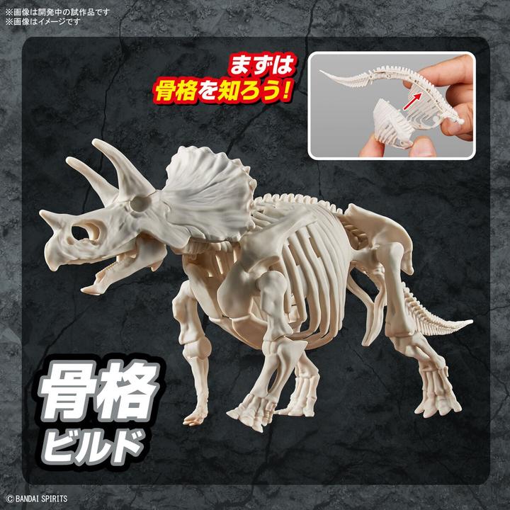 Produktbild Bandai Planosaurus - Triceratops