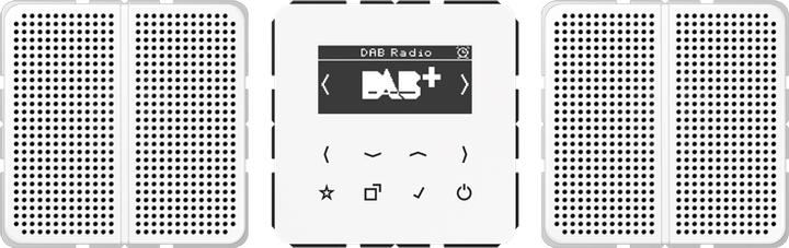 JUNG DABCD2WW Smart Radio DAB+ (Radio Tuner)