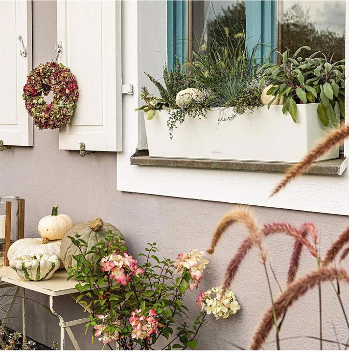 Produktbild Lechuza Balconera Color (19 cm)