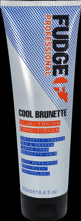 Image du produit Fudge Cool Brunette Teinte bleue (250 ml)