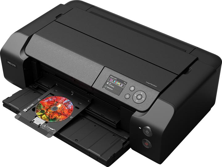 Immagine prodotto Canon imagePROGRAF PRO-310 (Inchiostro, Colore)
