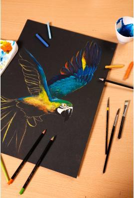 Produktbild Clairefontaine Paint'On (250 g/m², 72 x)