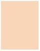 Actual product image Bourjois Healthy Mix Serum Clean & Vegan Roll-on Concealer (49 Ivory)