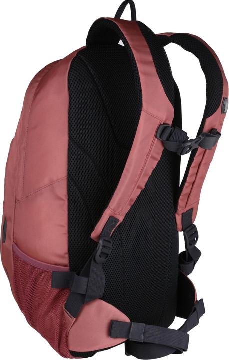 Actual product image Regatta Outdoors Altorock II backpack with 25 litre capacity (25 l)