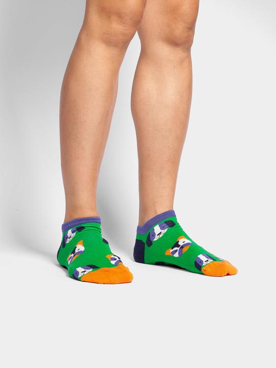DillySocks Short Dog Portraits (41 - 46)