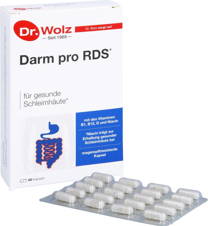 Immagine prodotto Dr. Wolz Darm Pro Rds (60 Pezzo/i, 1053 ml, 75 g)