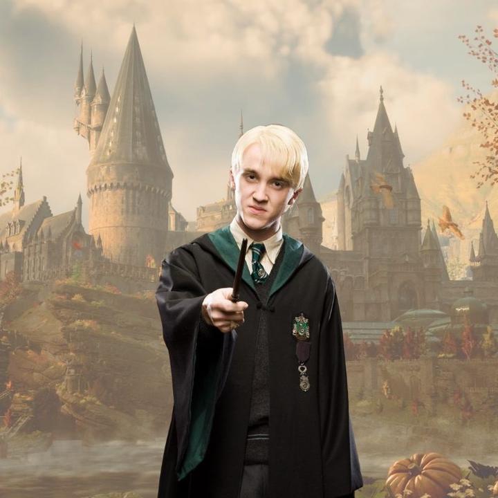Produktbild Noble Collection Harry Potter Zauberstab Draco Malfoy (Charakter-Edition)