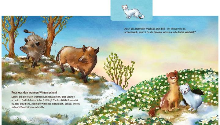Produktbild Was machen die Tiere im Frühling? (Anna Karina Birkenstock, Deutsch)