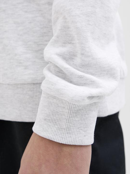 Image du produit Jack & Jones Jcologan Print Sweat Hood Sn Mni (128)