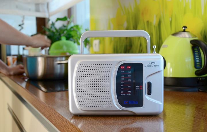Actual product image Elta Ro Eltra Ania 3 Sr (VHF, FM)