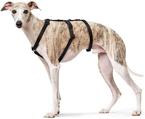 Produktbild Hunter Sicherheitsgeschirr Vario Rapid (M, L, Hund, Allgemein)