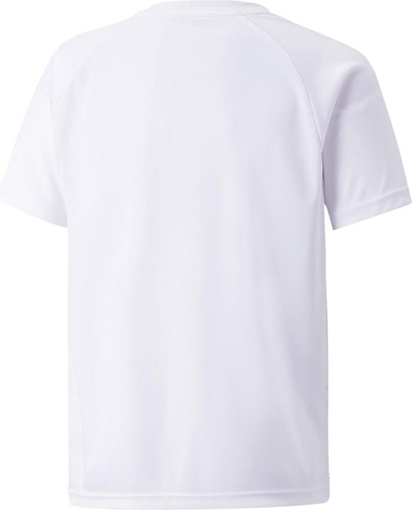 Produktbild Puma teamLIGA Striped Jersey Jr-704927 (176)