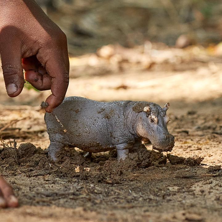 Image du produit Schleich Hippo